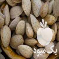 آگهی مشابه فروش بادام درجه یک در بانه در گروه بادام - درختی کوهی زمینی فروش عمده در یکمیوه