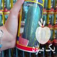 آگهی مشابه فروش بذر صیفی جات در کازرون در گروه خرید فروش بذر - انواع محصول کشاورزی گوجه کتان میوه درخت در یکمیوه