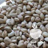 آگهی مشابه خرید پسته بادام گردو در یزد در گروه بادام - درختی کوهی زمینی فروش عمده در یکمیوه