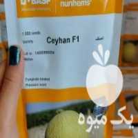 آگهی مشابه فروش بذر صیفی جات در کازرون در گروه خرید فروش بذر - انواع محصول کشاورزی گوجه کتان میوه درخت در یکمیوه