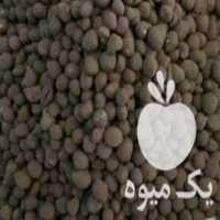 آگهی مشابه فروش کود کامل آلی گرانوله در تهران در گروه خرید فروش کود و مواد شیمیایی - اوره پتاس مرغی کمپوست آهن در یکمیوه