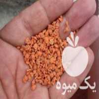 آگهی مشابه فروش بذر چغندر قند اصل خارجی در اسدآباد در گروه خرید فروش بذر - انواع محصول کشاورزی گوجه کتان میوه درخت در یکمیوه