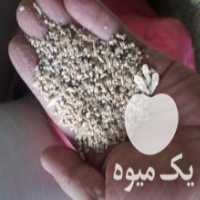 آگهی مشابه فروش جو گندم سبوس کود کنسانتره در بناب در گروه خرید فروش عمده گندم و جو - بلغور شیرازی فروش عمده محصول کشاورزی در یکمیوه