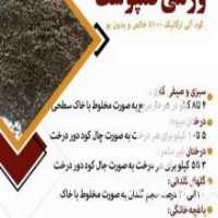 آگهی مشابه فروش ورمی کمپوست درجه یک صد در صد خالص در نور در گروه نهاده ها دام و طیور در یکمیوه