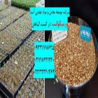 آگهی مشابه فروش ویژه ورمیکولیت کشت هیدروپونیک و کشاورزی در تهران در گروه خرید فروش بذر - انواع محصول کشاورزی گوجه کتان میوه درخت در یکمیوه