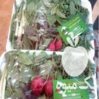 آگهی مشابه فروش سبزی خوردن پاک شده دربسته بندی بهداشتی در شیراز در گروه خرید فروش عمده سبزی های برگی - خوردن آش کوکو دلمه قورمه در یکمیوه