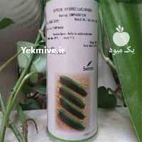 آگهی مشابه فروش بذر خیار رویال در اصفهان در گروه خرید فروش عمده خیار - بوته درختی سبز مجلسی شوری خاردار چنبر اصفهان در یکمیوه