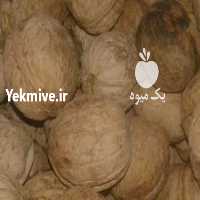 آگهی مشابه فروش گردو   در اردبیل در گروه گردو - کاغذی سنگی سوزنی خوشه ای توسرکان در یکمیوه