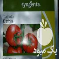 آگهی مشابه فروش بذر و نشا گلخانه ای در تهران در گروه خرید فروش بذر - انواع محصول کشاورزی گوجه کتان میوه درخت در یکمیوه