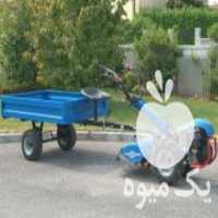آگهی مشابه فروش تیلر دیزلی و بنزینی در تهران در گروه خرید فروش ابزار ها و تجهیزات کشاورزی - دستی برقی ماشینی بیل کلنگ در یکمیوه