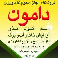 آگهی مشابه فروش انواع کود و سموم کشاورزی در بابلسر در گروه خرید فروش نهال - انواع گردو پسته بادام سلطانی انگور در یکمیوه