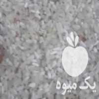 آگهی مشابه فروش برنج 120 کیلو نیم دانه فجر سوزنی عطر و طعم عالی و تمیز در آزادشهر در گروه خرید فروش عمده برنج - نیم دانه عنبر بو هاشمی کاظمی هندی پاکستانی در یکمیوه