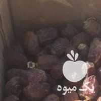 آگهی مشابه فروش خرما کبکاب در تهران در گروه خرید فروش عمده خرما - کبکاب تازه زاهدی خشک خارک در یکمیوه