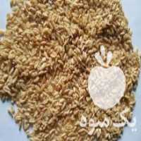 آگهی مشابه فروش گندم دان مرغی 300 کیلو در شاهین شهر در گروه خرید فروش عمده گندم و جو - بلغور شیرازی فروش عمده محصول کشاورزی در یکمیوه