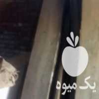 آگهی مشابه فروش چوب گردو در مراغه در گروه خرید فروش عمده چوب- زغال چوب گردو تبریزی خام در یکمیوه