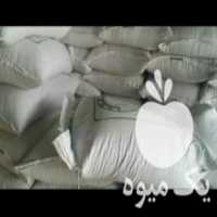 آگهی مشابه فروش بذر گندم ،  جو و کلزا با قیمت های عالی در اصفهان در گروه خرید فروش بذر - انواع محصول کشاورزی گوجه کتان میوه درخت در یکمیوه