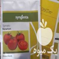 آگهی مشابه فروش بذر پیاز فروش بذر هویج در ارزوئیه در گروه خرید فروش بذر - انواع محصول کشاورزی گوجه کتان میوه درخت در یکمیوه