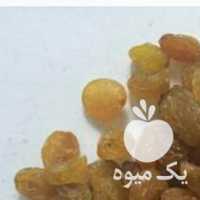 آگهی مشابه فروش کشمش صادراتی ملایر در تهران در گروه آجیل - فروش عمده محصولات در یکمیوه