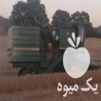 آگهی مشابه فروش کمباین کاهکوب در مرودشت در گروه خرید فروش ماشین آلات کشاورزی - تراکتور تیلر کمباین مدرن در یکمیوه