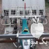 آگهی مشابه فروش نشاکار برنج در ساری در گروه خرید فروش نشا - انواع گوجه برنج کاهو پیاز کاری فرنگی در یکمیوه