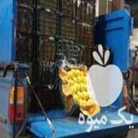 آگهی مشابه بارفروشی و حق العمل کاری در تبریز در گروه حق العمل کاری محصولات کشاورزی و دامداری خدمات کارمزد در یکمیوه