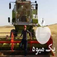 آگهی مشابه فروش کمباین سهند کاه کوب در بوکان در گروه خرید فروش ماشین آلات کشاورزی - تراکتور تیلر کمباین مدرن در یکمیوه