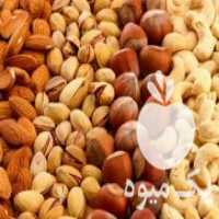 آگهی مشابه فروش عمده خشکبار در کرج در گروه آجیل - فروش عمده محصولات در یکمیوه