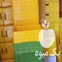 آگهی مشابه فروش سبد درجه یک برای پروش میلورم در قائم شهر در گروه خرید فروش انواع سبد - میوه پلاستیکی چوبی گل در یکمیوه