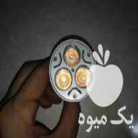 آگهی مشابه فروش لامپ رشد گیاه گلخانه‌ در کرج در گروه خرید فروش عمده انواع گل - پروش قاشقی موسی ساکولنت بن سای در یکمیوه