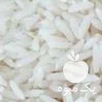 آگهی مشابه فروش عمده برنج ، چای ، بادام زمینی ، پسته ، سمنو در لاهیجان در گروه خرید فروش عمده برنج - نیم دانه عنبر بو هاشمی کاظمی هندی پاکستانی در یکمیوه