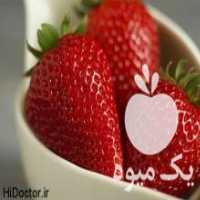 آگهی مشابه فروش بوته توت فرنگی خارجی پر محصول در جویبار در گروه خرید فروش عمده توت فرنگی - خرید فروش عمده قرمز سفید در یکمیوه