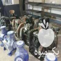 آگهی مشابه فروش انواع تلنبه لیستر بادی واتصالات و لوله خرطومی در مرودشت در گروه خرید فروش ماشین آلات کشاورزی - تراکتور تیلر کمباین مدرن در یکمیوه