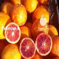 آگهی مشابه فروش 150 کیلو پرتقال خونی توسرخ  در گلستان در گروه خرید فروش عمده پرتقال - پرتقال رسمی تامسون خونی جنوب در یکمیوه