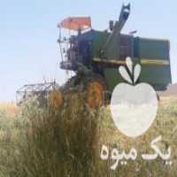 آگهی مشابه فروش کمباین کاهکوب در ملایر در گروه خرید فروش ابزار ها و تجهیزات کشاورزی - دستی برقی ماشینی بیل کلنگ در یکمیوه