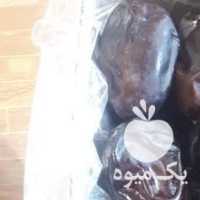 آگهی مشابه فروش خرما رطب بم کیفیت بالا نگهداری در سردخانه در تهران در گروه اجاره سردخانه - محصولات کشاورزی میوه صنعتی تنی در یکمیوه