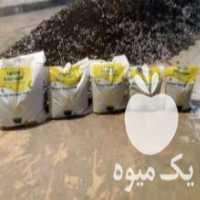 آگهی مشابه فروش خاک برگ ارگانیک عمده در تبریز در گروه خرید فروش کود و مواد شیمیایی - اوره پتاس مرغی کمپوست آهن در یکمیوه