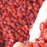 آگهی مشابه فروش زرشک ، عناب ، کشمش سبز و مویز کاشمر ادویه جات در مشهد در گروه خرید فروش عمده ازگیل و تمشک و زرشک - ژاپنی فروش مستقیم در یکمیوه