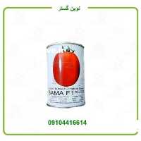 آگهی مشابه فروش بذر گوجه فرنگی هیبریدی سما F 1 در کرمانشاه در گروه خرید فروش بذر - انواع محصول کشاورزی گوجه کتان میوه درخت در یکمیوه