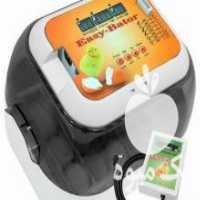 آگهی مشابه فروش دستگاه جوجه کشی 12 عددی حرفه ای در ساری در گروه تجهیزات دام و طیور - خرید فروش نو دسته دوم در یکمیوه