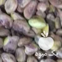 آگهی مشابه فروش مغز پسته وبادام وگردو وبادام زمینی وانجیر در یزد در گروه بادام - درختی کوهی زمینی فروش عمده در یکمیوه