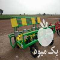 آگهی مشابه فروش ماشین نشاکار برای کشت نشای صیفی و سبزی در مزرعه در پیشوا در گروه خرید فروش نشا - انواع گوجه برنج کاهو پیاز کاری فرنگی در یکمیوه