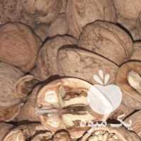 آگهی مشابه فروش گردو و بادام و عسل و کشک وروغن گوسفند در یزد در گروه انواع فرآورده های لبنی و حیوانی - ماست کره فروش عمده در یکمیوه