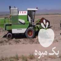 آگهی مشابه فروش کمباین سهند مدل 86 موتور پلمپ در تربت جام در گروه خرید فروش ماشین آلات کشاورزی - تراکتور تیلر کمباین مدرن در یکمیوه