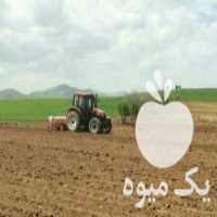 آگهی مشابه فروش نیازمند دستگاه چغندر در بوکان در گروه خرید فروش عمده چغندر - قند لبویی قرمز سفید در یکمیوه