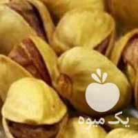 آگهی مشابه فروش پسته فندقی شور رفسنجان در تهران در گروه آجیل - فروش عمده محصولات در یکمیوه