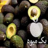 آگهی مشابه فروش نهال درخت آووکادو پیوندی هس در ساری در گروه خرید فروش نهال - انواع گردو پسته بادام سلطانی انگور در یکمیوه