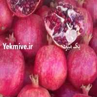 آگهی مشابه فروش انار درجه یک   در اردبیل در گروه خرید فروش عمده انار - ساوه شیراز شیرین ترش در یکمیوه
