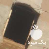 آگهی مشابه فروش گوسفند داشتی و آبستن در یزد در گروه گاو و گوسفند و میش و بز کهره گوساله سمینتال در یکمیوه