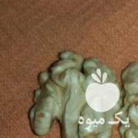 آگهی مشابه فروش گردو و مغز گردوی سفید و خورشتی و پسته در تهران در گروه بادام - درختی کوهی زمینی فروش عمده در یکمیوه