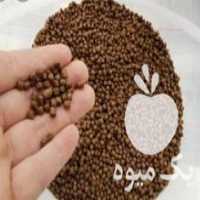 آگهی مشابه فروش غذای ماهی قزل آلا در گیلان در گروه انواع ماهی - سالمون شیر کپور قرمز شوریده سفید گوپی مرکب در یکمیوه